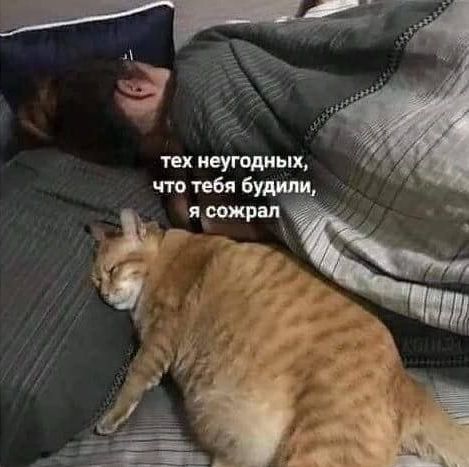 тех неугодных, что тебя будили, я сожрал