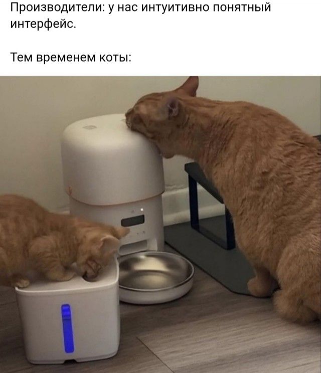 Производители: у нас интуитивно понятный интерфейс.\nТем временем коты: