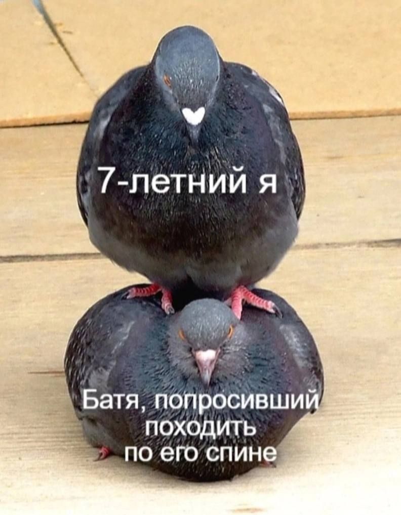 7-летний я Batя, попросивший походить по его спине