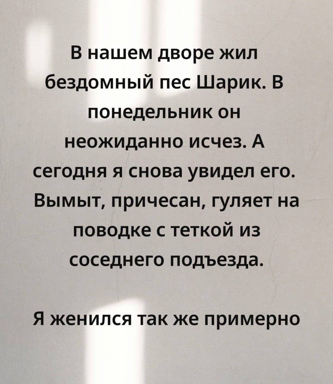 В нашем дворе жил бездомный пес Шарик. В понедельник он неожиданно исчез. А сегодня я снова увидел его. Вымыт, причёсен, гуляет на поводке с теткой из соседнего подъезда. Я женился так же примерно