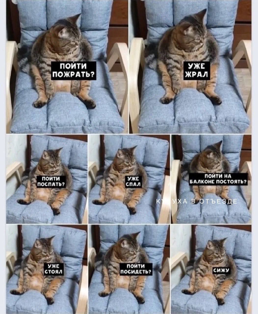 пойти пожрать? УЖЕ ЖРАЛ пойти пожрать? УЖЕ СПАЛ пойти на балкон постоять? у же стоял пойти посидеть? сижу