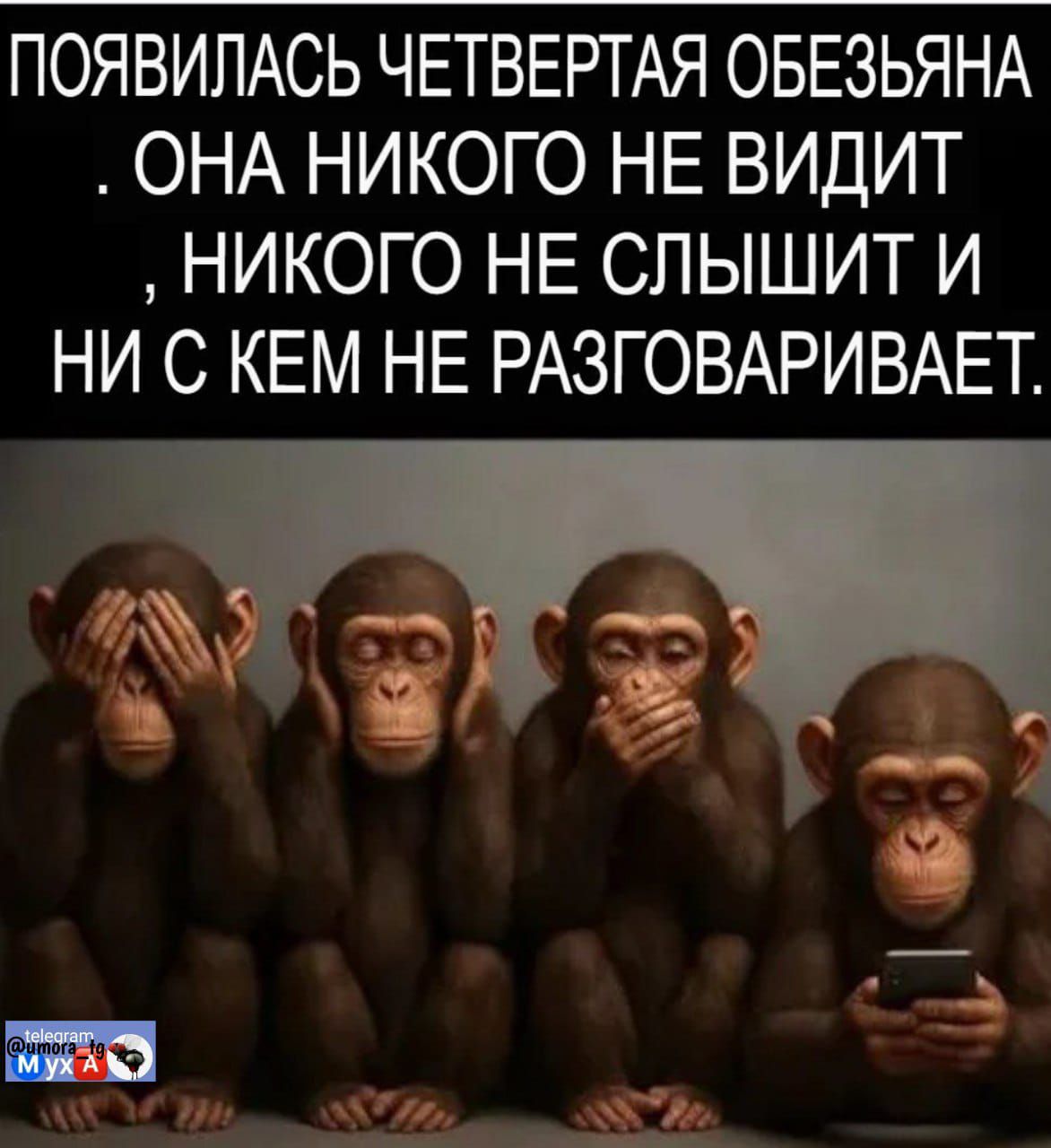 Появилась четвертая обезьяна. Она никого не видит, никого не слышит и ни с кем не разговаривает.