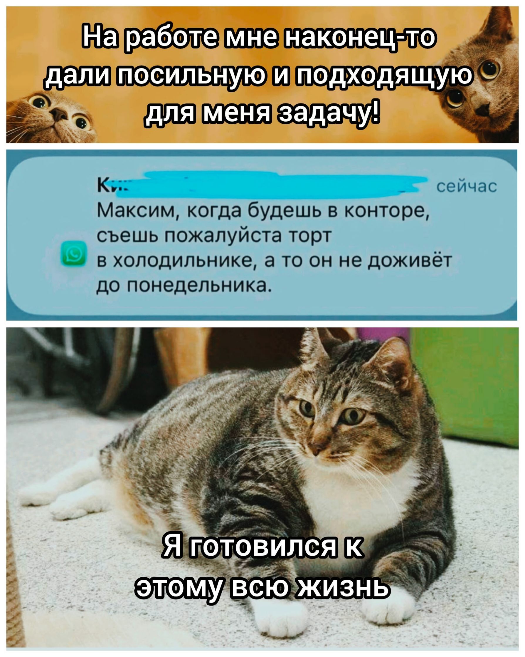 На работе мне наконец-то дали посильную и подходящую для меня задачу!
К... сейчас
Максим, когда будешь в конторе, съешь пожалуйста торт в холодильнике, а то он не доживёт до понедельника.
Я готовился к этому всю жизнь