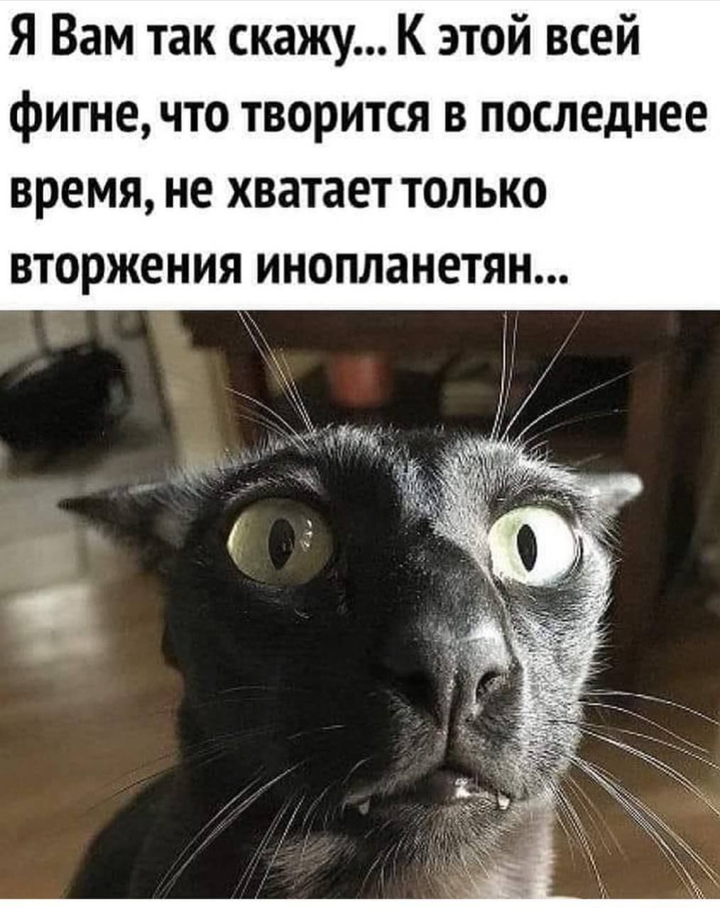 Я Вам так скажу... К этой всей фигне, что творится в последнее время, не хватает только вторжения инопланетян...