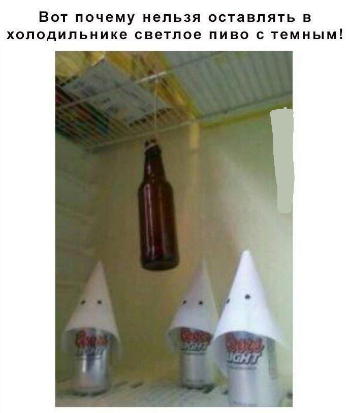 Вот почему нельзя оставлять в холодильнике светлое пиво с темным!