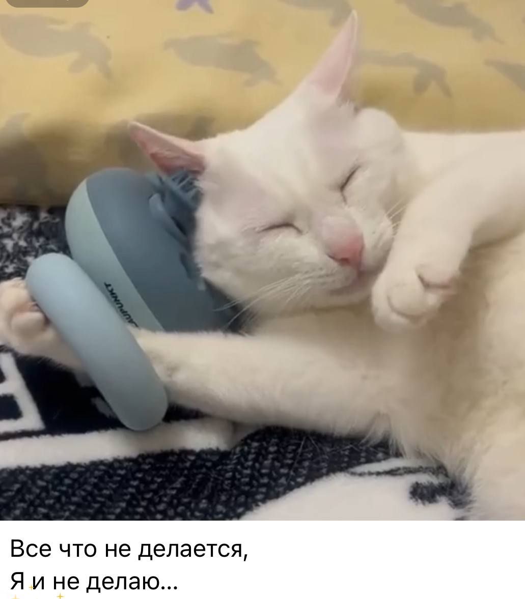 Все что не делается,\nЯ и не делаю...