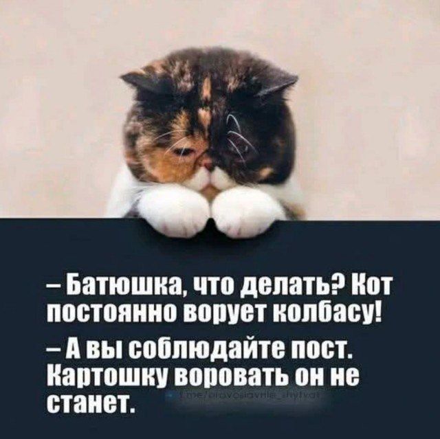 - Батюшка, что делать? Кот постоянно ворует колбасу!
- А вы соблюдайте пост. Картошку воровать он не станет.