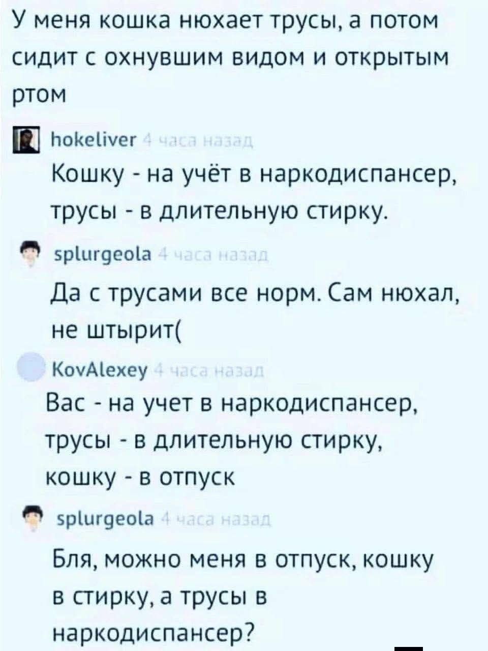 У меня кошка нюхает трусы, а потом сидит с охнувшим видом и открытым ртом

Кошку - на учёт в наркодиспансер, трусы - в длительную стрижку.

Да с трусами все норм. Сам нюхал, не штырит(

Вас - на учёт в наркодиспансер, трусы - в длительную стрижку, кошку - в отпуск

Бля, можно меня в отпуск, кошку в стирку, а трусы в наркодиспансер?