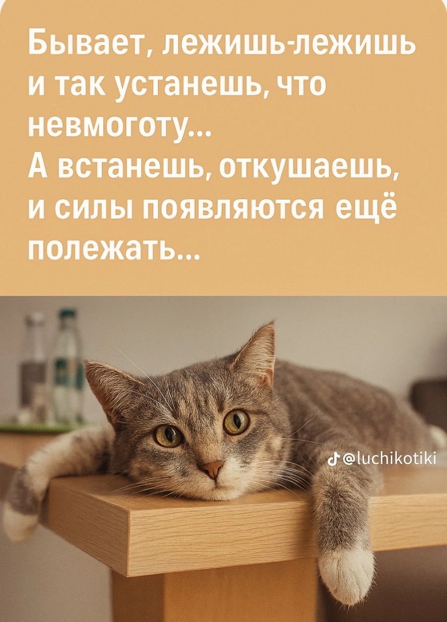 Бывает, лежишь-лежишь и так устанешь, что невмоготу... А встанешь, откушаешь, и силы появляются ещё полежать...