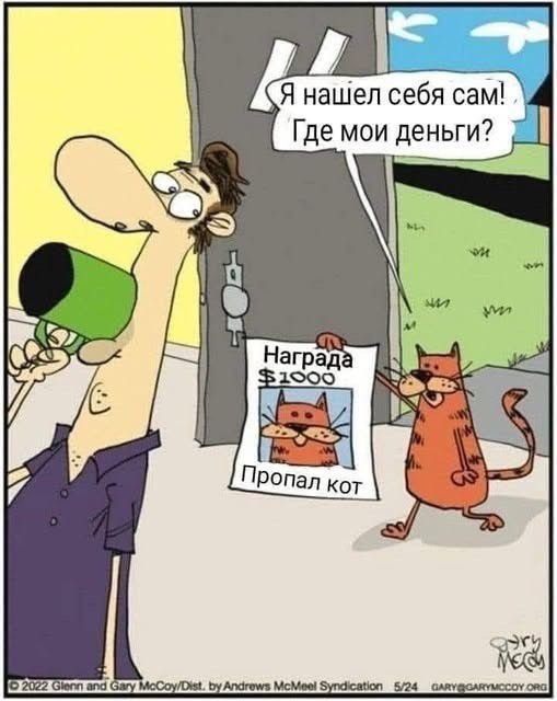 Я нашел себя сам! Где мои деньги? Награда $10000 Пропал кот