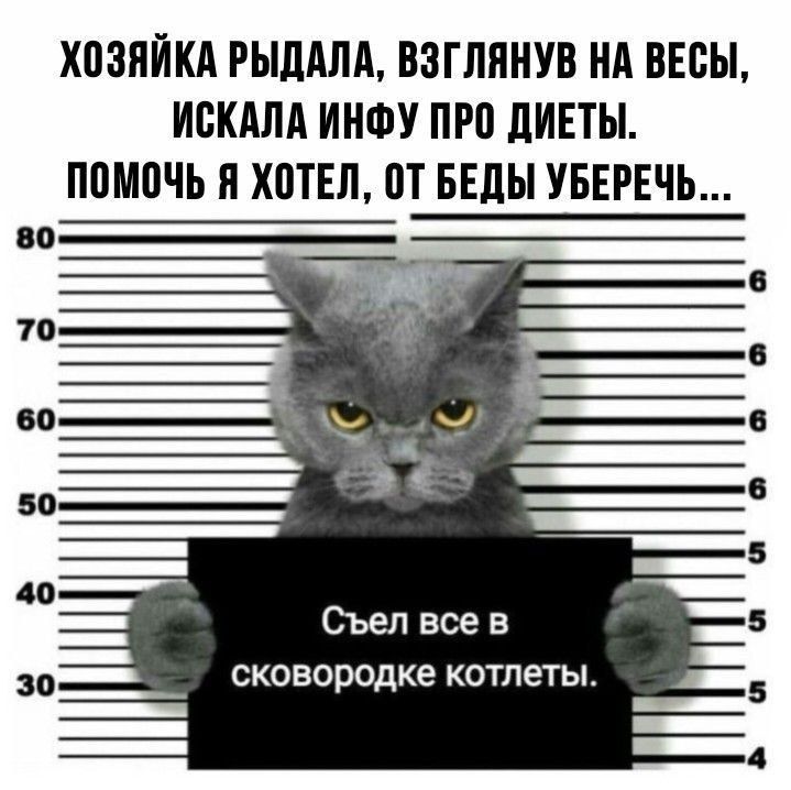 Хозяйка рыдала, взглянув на весы, искала инфу про диеты. Помочь я хотел, от беды уберечь... Съел все в сковородке котлеты.