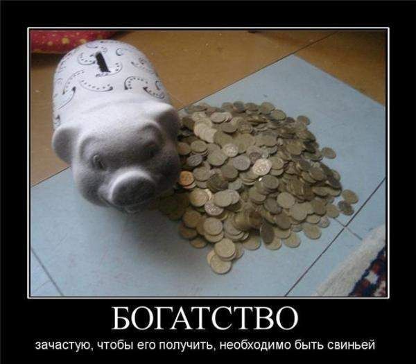 БОГАТСТВО\nзачастую, чтобы его получить, необходимо быть свиной