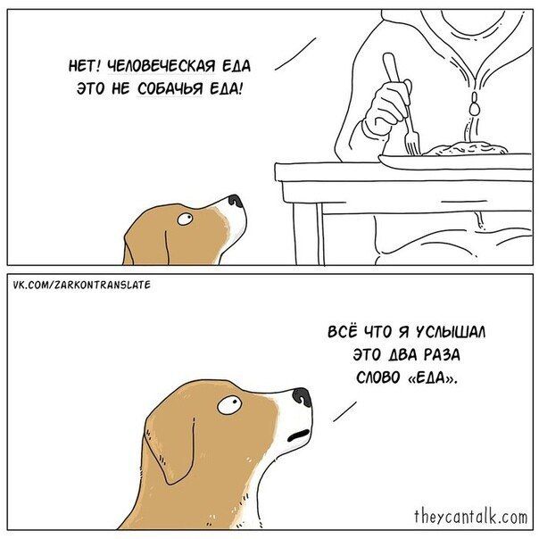 Нет! человеческая еда это не собачья еда!

Всё что я услышал это два раза слово «еда».