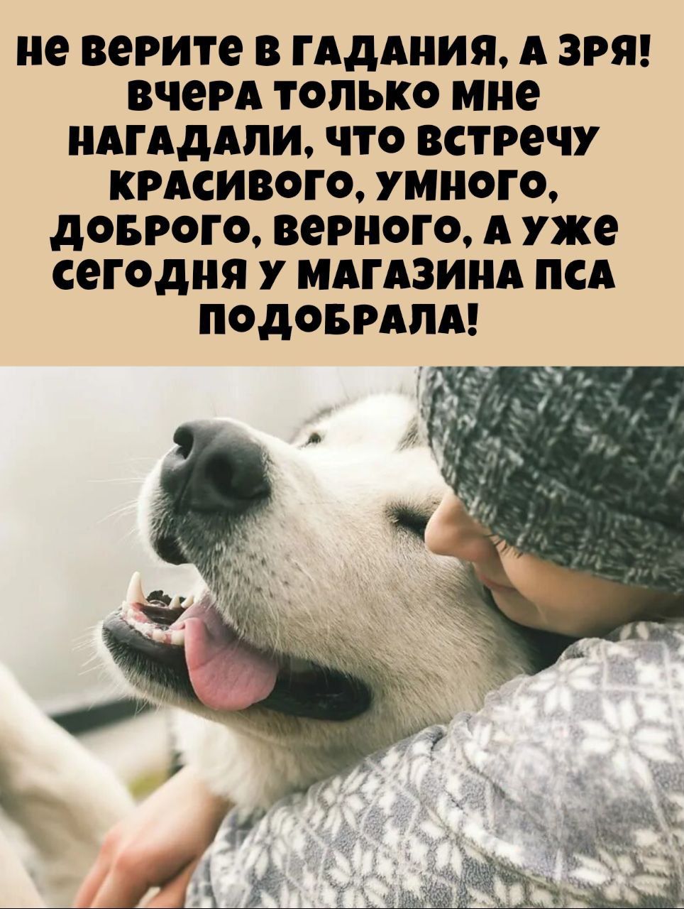 не верьте в гадания, а зря! вчера только мне нагадали, что встречу красивого, умного, доброго, верного. а уже сегодня у магазина пса подобрала!