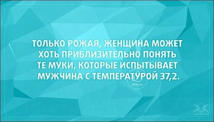 Только рожая, женщина может хоть приблизительно понять те муки, которые испытывает мужчина с температурой 37,2.