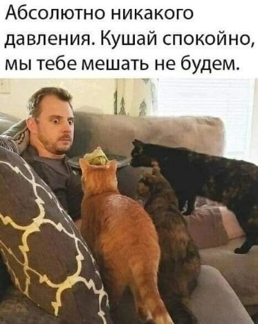 Абсолютно никакого давления. Кушай спокойно, мы тебе мешать не будем.