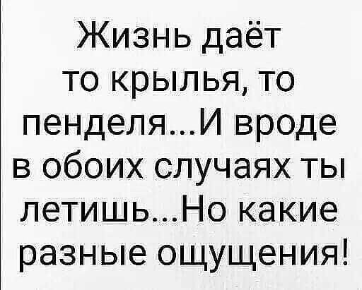 Жизнь даёт то крылья, то понеделья...И вроде в обоих случаях ты летишь...Но какие разные ощущения!