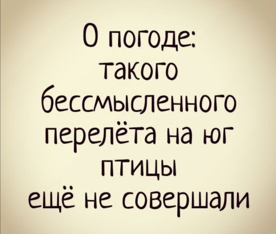 О погоде:
такого бессмысленного перелёта на юг
птицы ещё не совершали