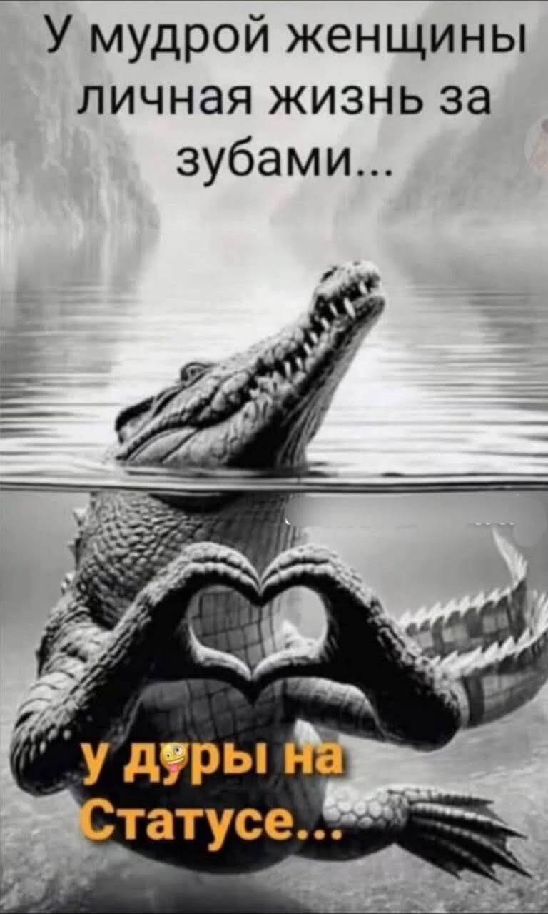 У мудрой женщины личная жизнь за зубами... У дуры на статусе...