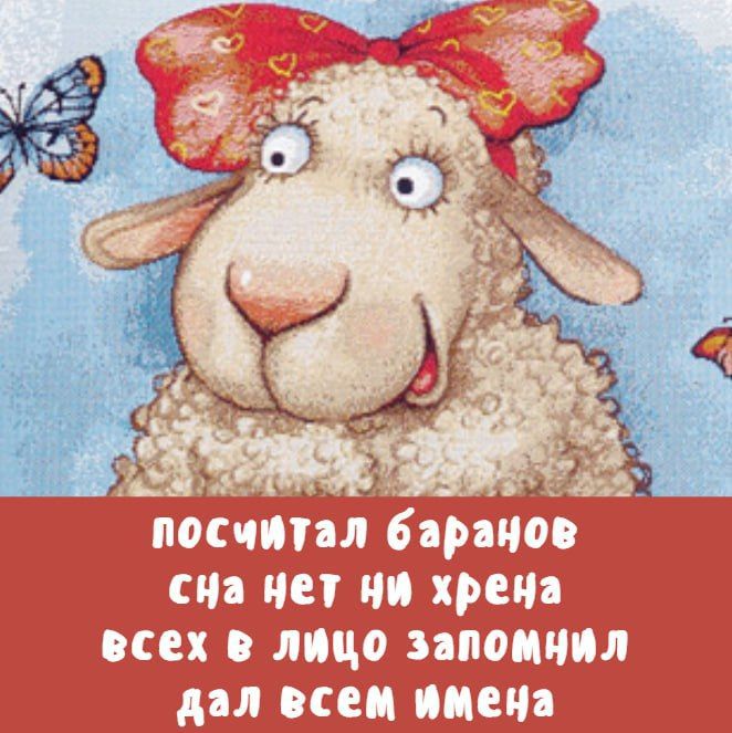 посчитал баранов сна нет ни хрена всех в лицо запомнил дал всем имена