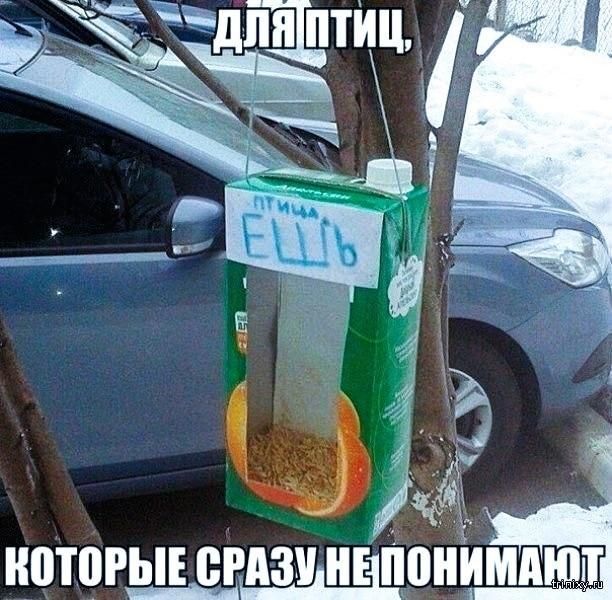 ДЛЯ ПТИЦ,
Которые сразу не понимают