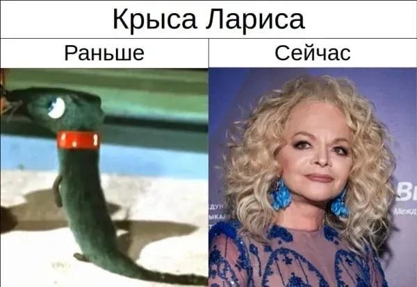Крыса Лариса\nРаньше | Сейчас