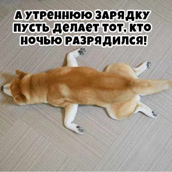 А утреннюю зарядку пусть делает тот, кто ночью разрядился!