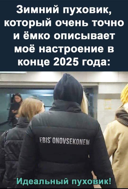 Зимний пуховик, который очень точно и ёмко описывает моё настроение в конце 2025 года:
Идеальный пуховик!
