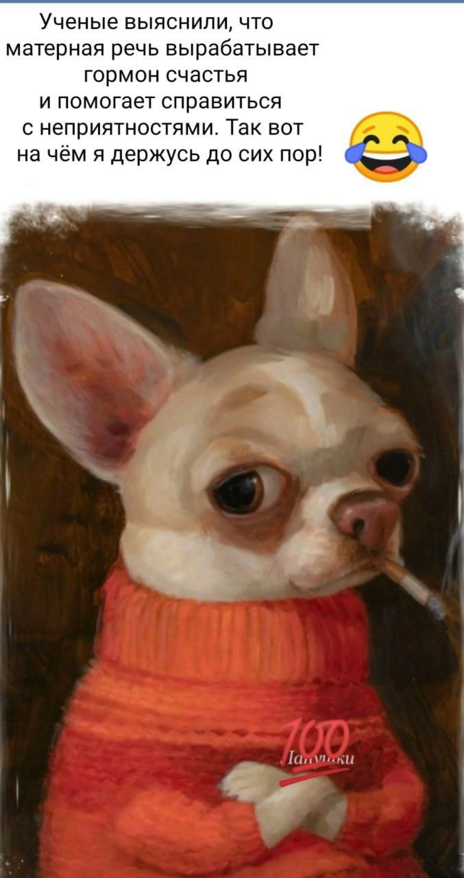 Учёные выяснили, что матерная речь вырабатывает гормон счастья и помогает справляться с неприятностями. Так вот на чём я держусь до сих пор!