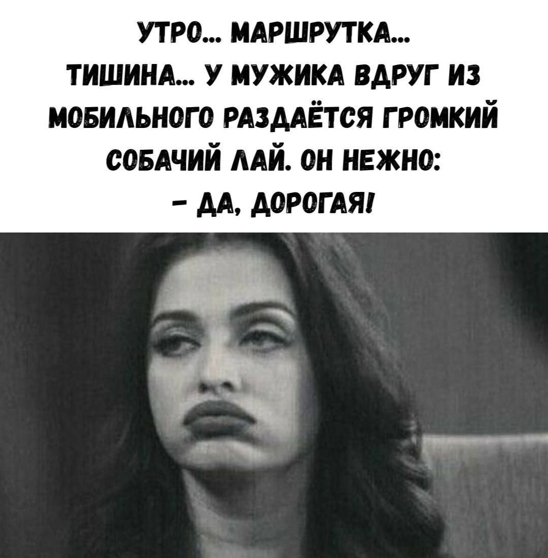 УТРО... МАРШРУТКА... ТИШИНА... У МУЖИКА ВДРУГ ИЗ МОБИЛЬНОГО РАЗДАЁТСЯ ГРОМКИЙ СОБАЧИЙ ЛАЙ. ОН НЕЖНЕ: - ДА, ДОРОГАЯ!
