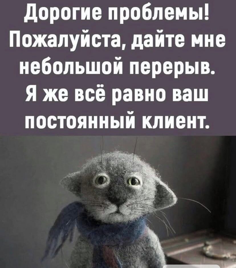 Дорогие проблемы! Пожалуйста, дайте мне небольшой перерыв. Я же всё равно ваш постоянный клиент.