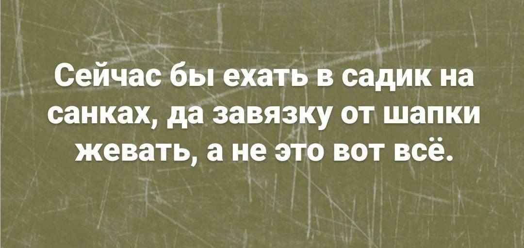 Сейчас бы ехать в садик на санках, да завязку от шапки жевать, а не это вот всё.