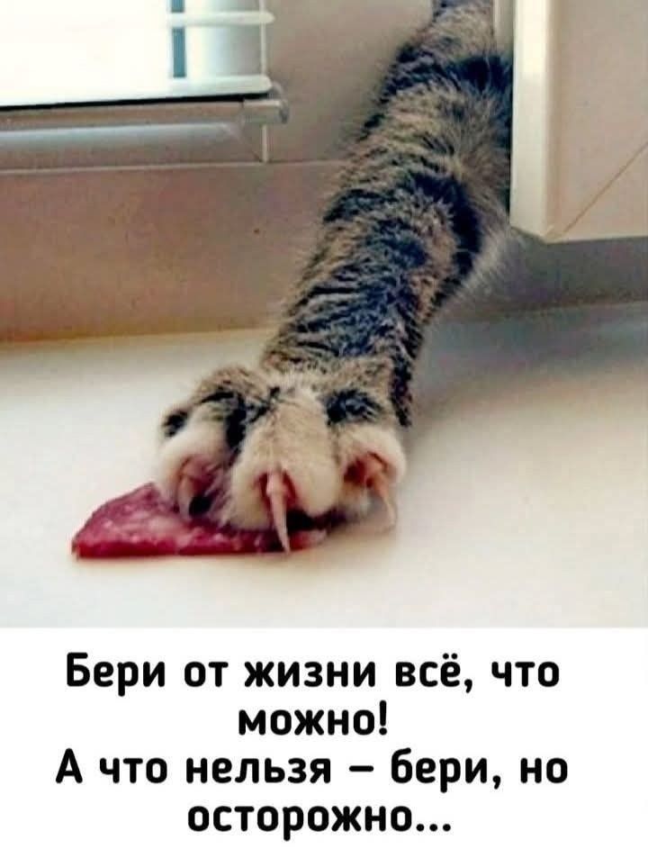Бери от жизни всё, что можно! А что нельзя – бери, но осторожно...