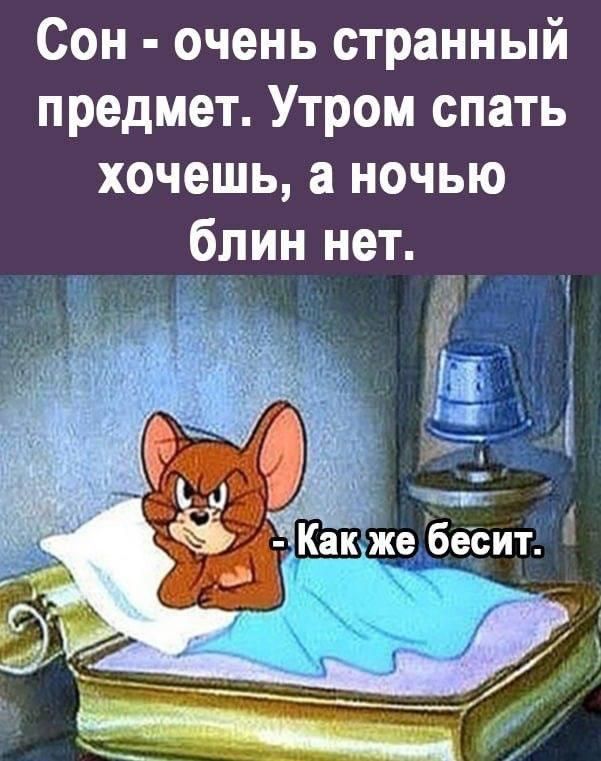 Сон - очень странный предмет. Утром спать хочешь, а ночью блин нет. 
- Как же бесит.