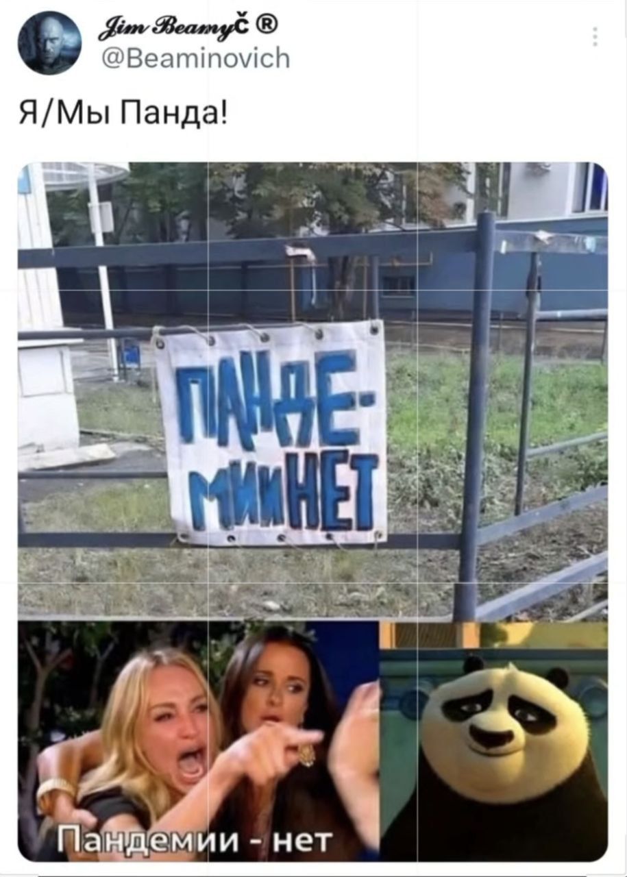 Я/Мы Панда!
ПАНДЕ-МИНЕТ
Пандемии - нет
