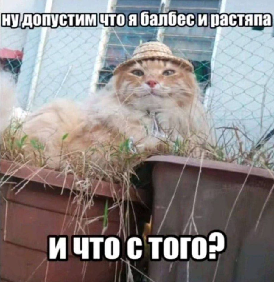 ну допустим что я балбес и растяпа и что с того?