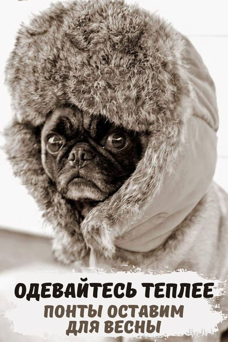 ОДЕВАЙТЕСЬ ТЕПЛЕЕ ПОНТЫ ОСТАВИМ ДЛЯ ВЕСНЫ