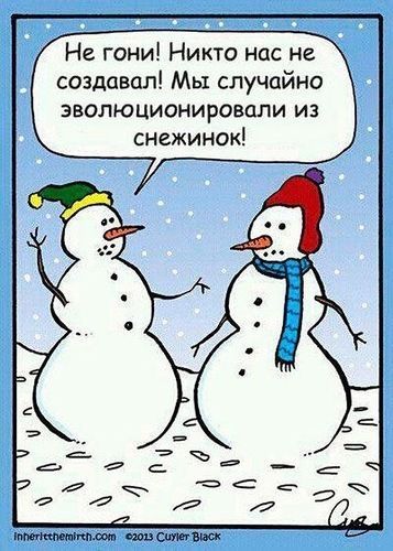 Не гони! Никто нас не создавал! Мы случайно эволюционировали из снежинок!