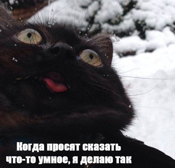 Когда просят сказать что-то умное, я делаю так