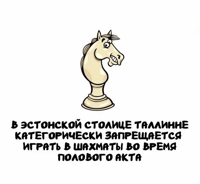 В Эстонской столице Таллинне категорически запрещается играть в шахматы во время полового акта