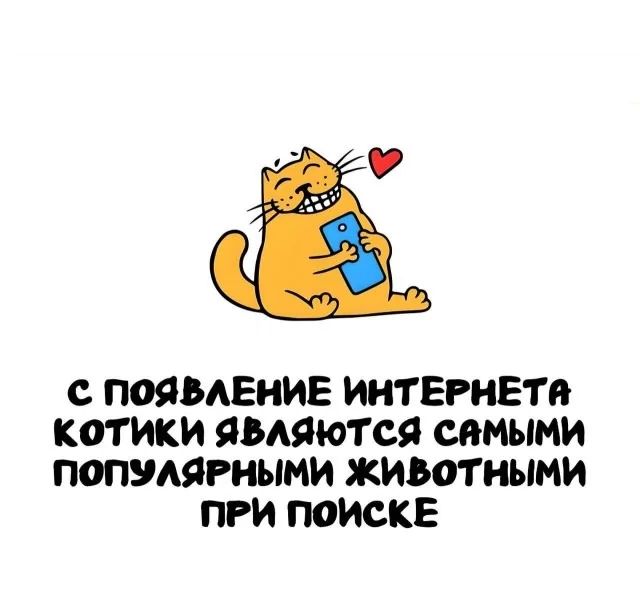 С появление интернета котики являются самыми популярными животными при поиске