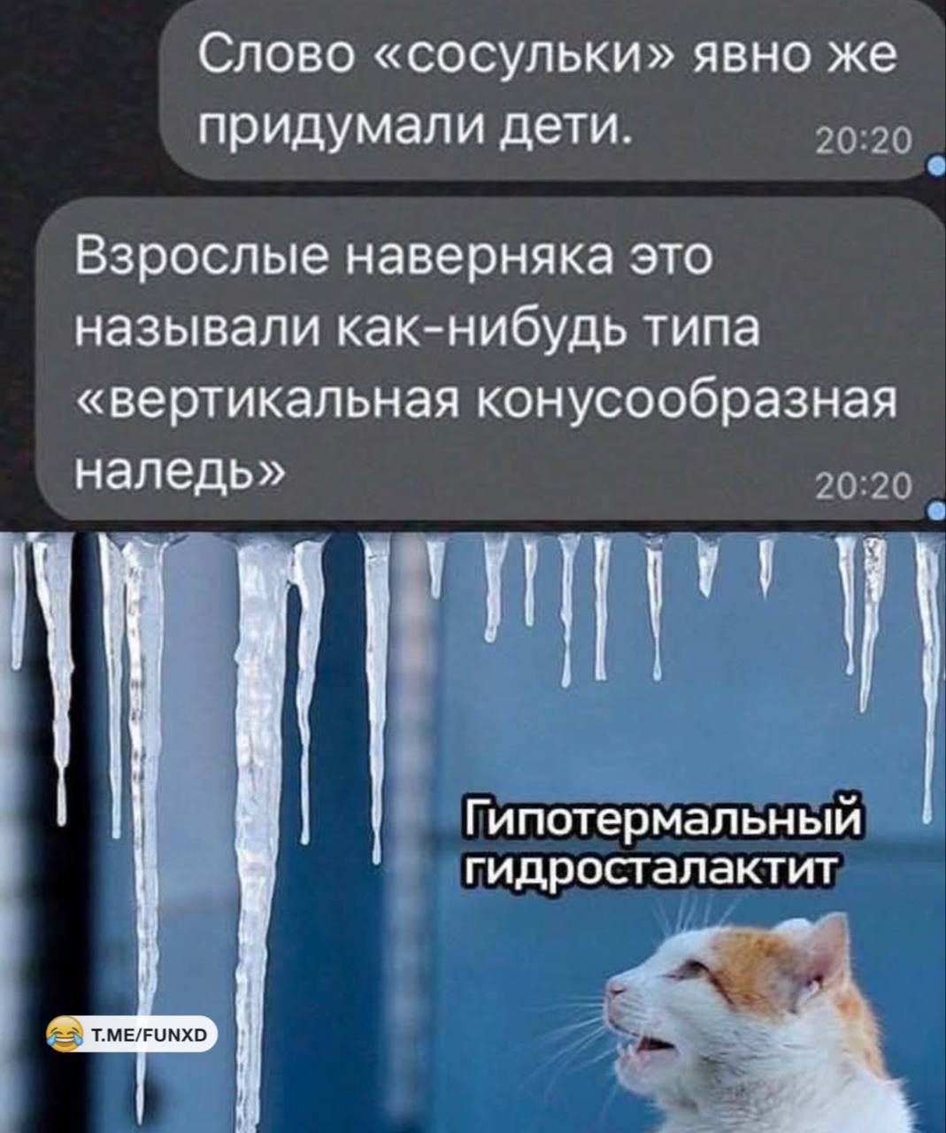 Слово «сосульки» явно же придумали дети.\nВзрослые наверняка это называли как-нибудь типа «вертикальная конусообразная наледь»\nГипотермальный гидросталаклит