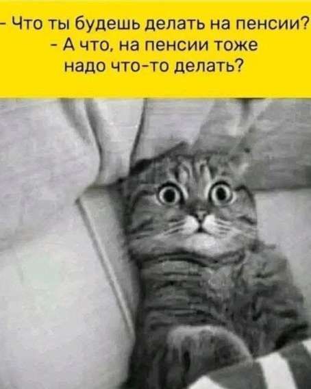 — Что ты будешь делать на пенсии? - А что, на пенсии тоже надо что-то делать?