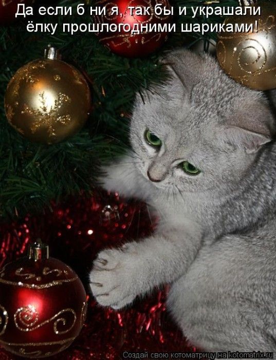 Да если б ни я, так бы и украшали ёлку прошлогодними шариками!