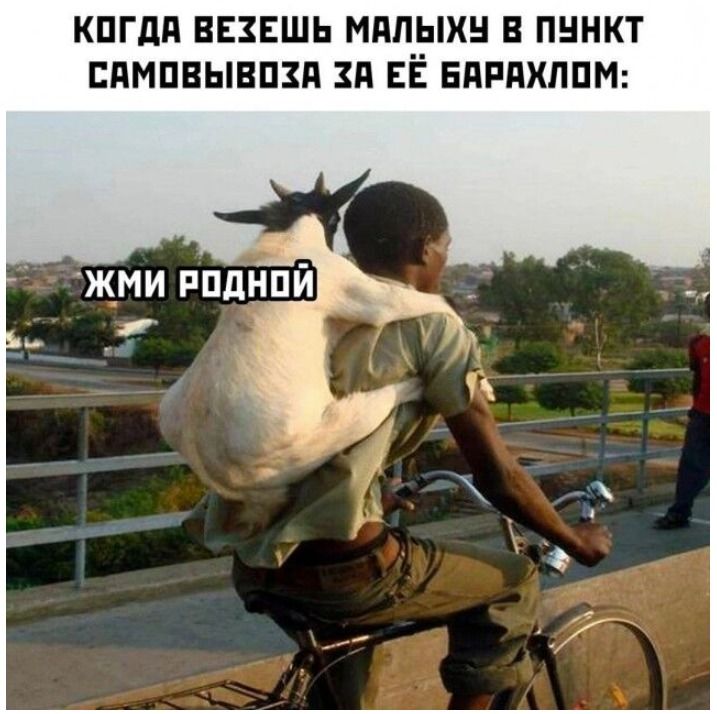 КОГДА ВЕЗЕШЬ МАЛЫХУ В ПУНКТ САМОВЫВОЗА ЗА ЕЕ БАРАХЛОМ:

ЖМИ РОДНОЙ