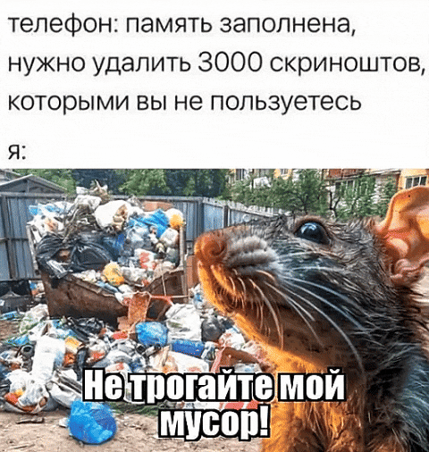 телефон: память заполнена, нужно удалить 3000 скриншотов, которыми вы не пользуетесь
я:
Не трогайте мой мусор!
