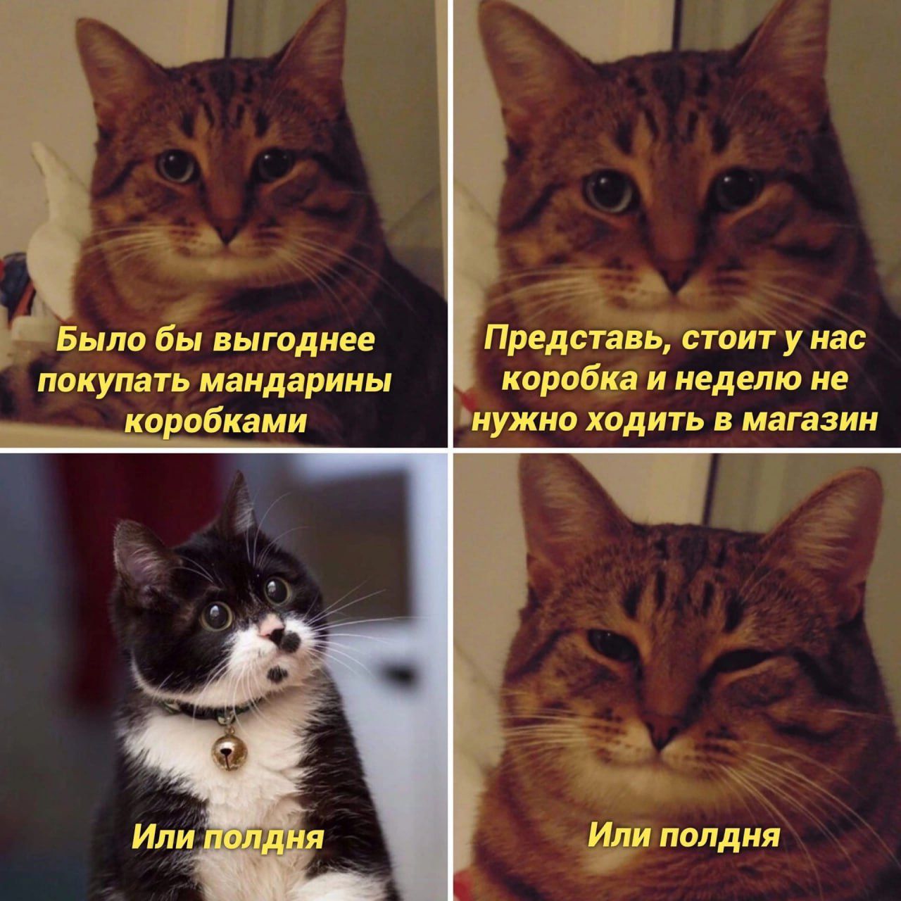 Было бы выгоднее покупать мандарины коробками
Представь, стоит у нас коробка и неделю не нужно ходить в магазин
Или полдня
Или полдня