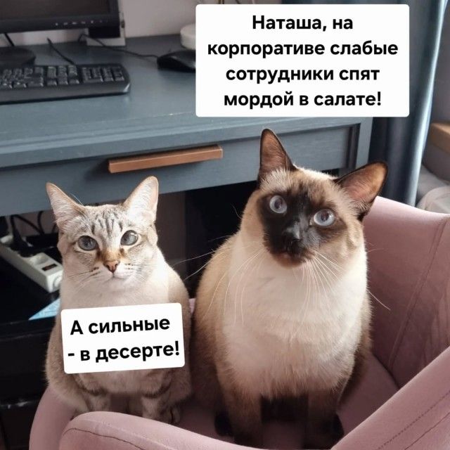 Наташа, на корпоративе слабые сотрудники спят мордой в салате! А сильные - в десерте!