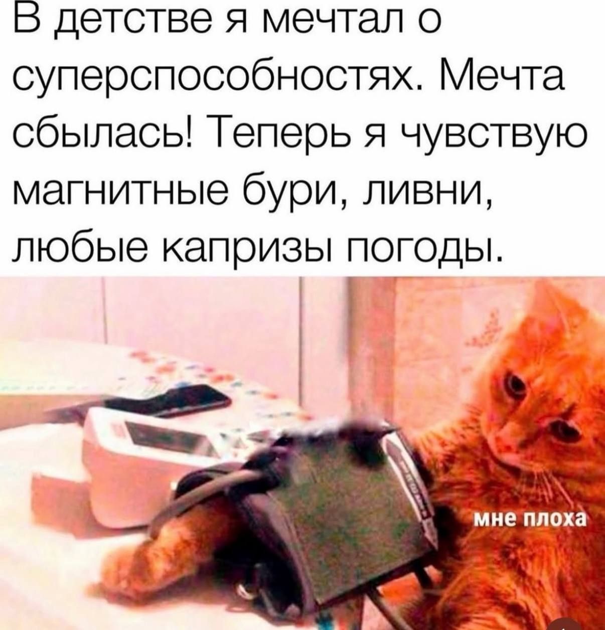В детстве я мечтал о суперспособностях. Мечта сбылась! Теперь я чувствую магнитные бури, ливни, любые капризы погоды.
мне плохо