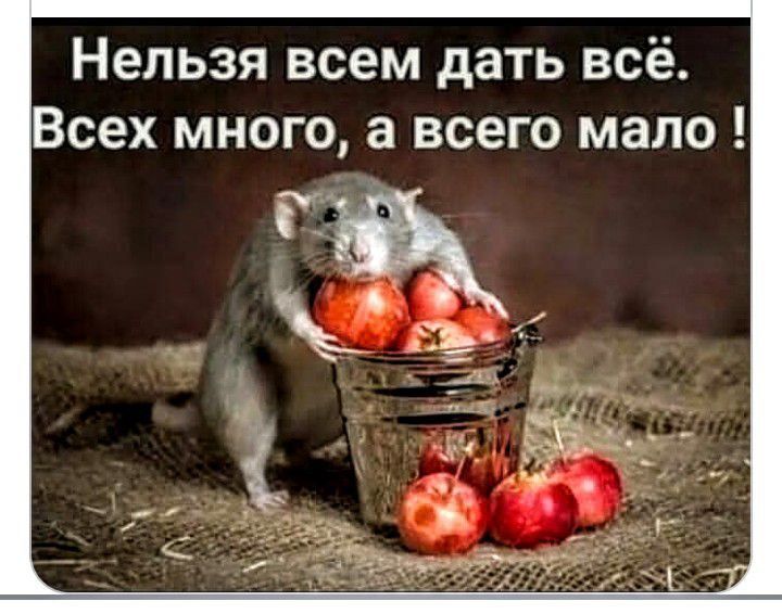 Нельзя всем дать всё. Всех много, а всего мало !